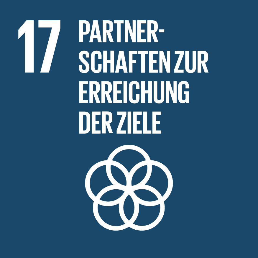 SDG Goal 17, click to open the website